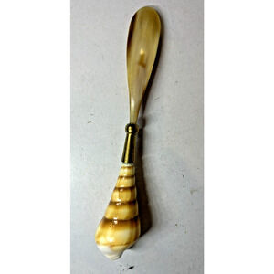 Coastal Conch Sea Shell Spreader Knife‎ 6" Natural Beach House Decor Accent